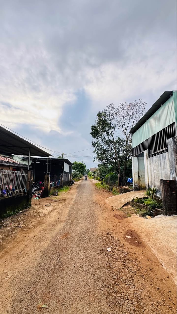 Đất nền Hẻm 101 Lý Nam Đế, Hội Phú, 150m² giá chỉ 1.3 tỷ - Cơ hội đầu tư tuyệt vời!