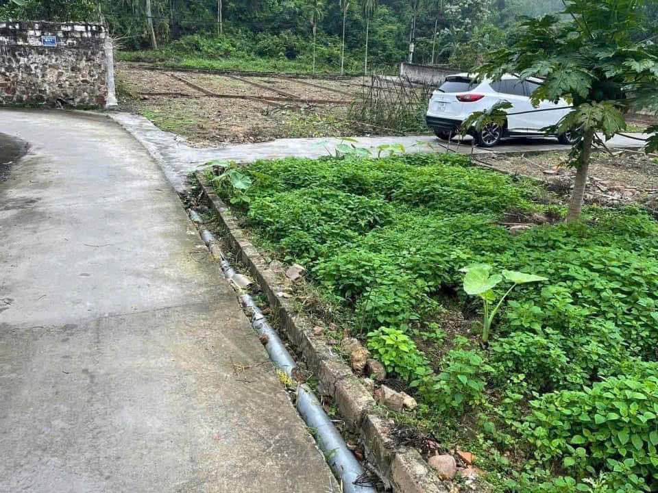 Đất nền Hòa Bình Thủy Nguyên 72.5m² giá 1.15 tỷ - Địa điểm vàng cho đầu tư!