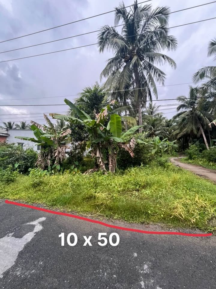 Đất nền thổ cư 500m² tại phường Long Đức chỉ 570 triệu - Đầu tư thông minh!