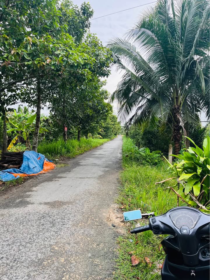 Đất nền mặt tiền nhựa 228m² giá 550 triệu - Cơ hội đầu tư hấp dẫn!