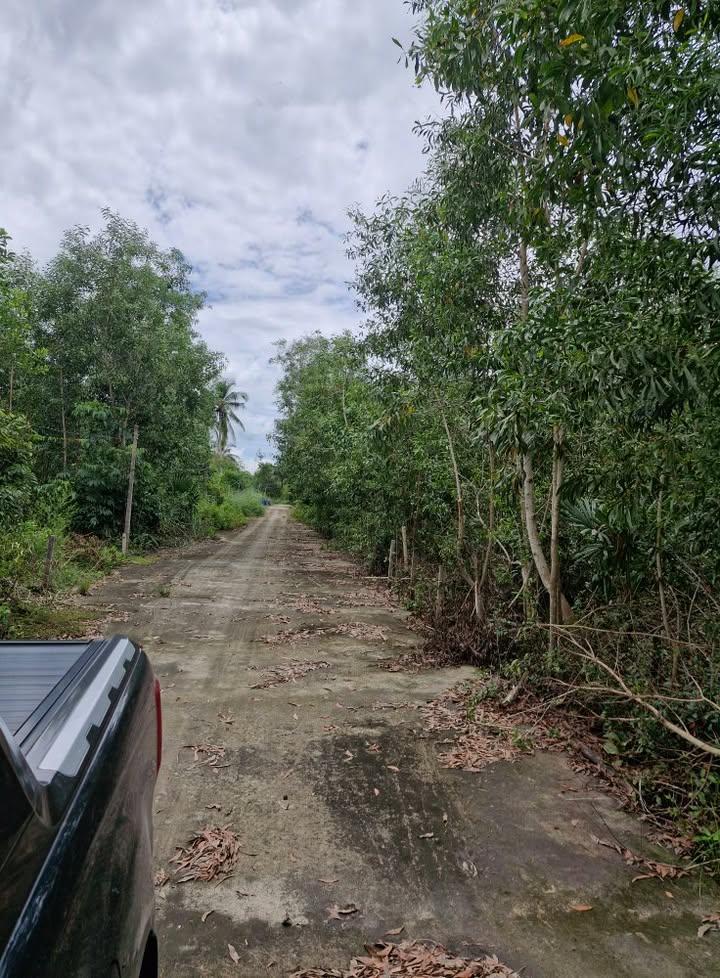 Đất nền Phú Quốc 500m² giá tốt - Đầu tư ngay hôm nay!