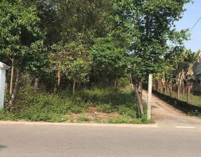 Đất nền mặt tiền đường Hamya, Tư Nghĩa 127m² giá 1.1 tỷ - Sổ đỏ chính chủ!