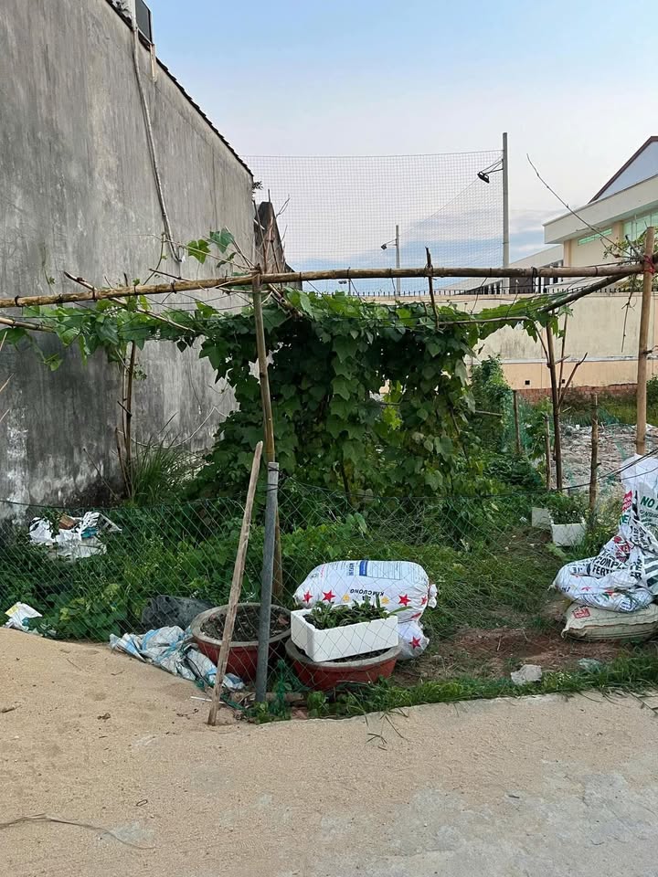 Đất Tư Nghĩa 77m² giá 790 triệu - Ô tô vào tận nơi!