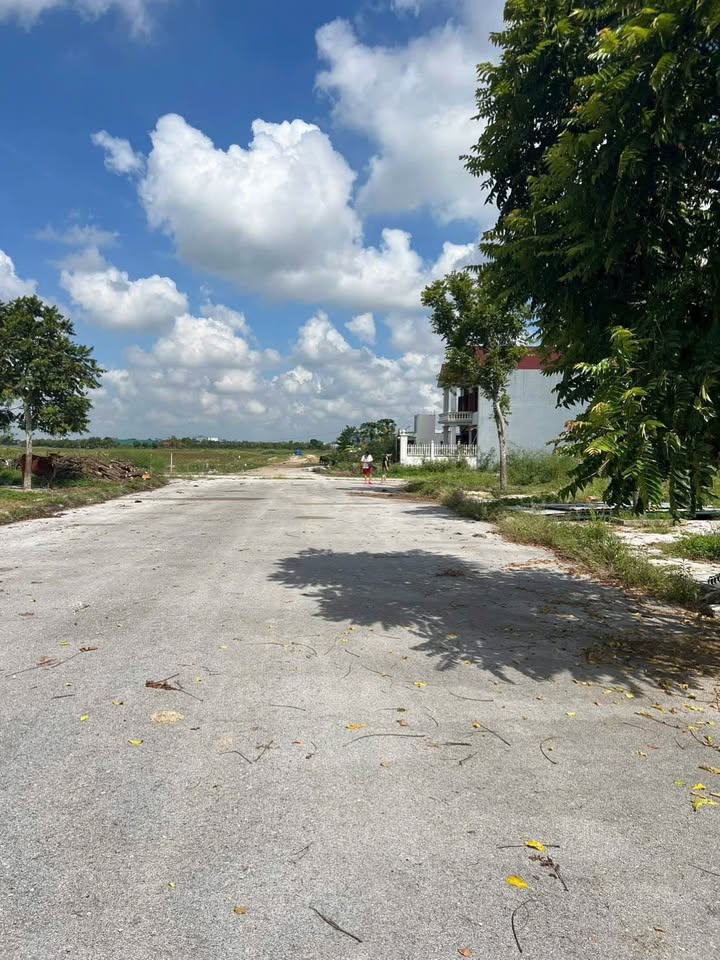 Đất nền KĐT Diamond Quảng Định 125m² giá chỉ 1.84 tỷ - Cơ hội đầu tư sinh lời!