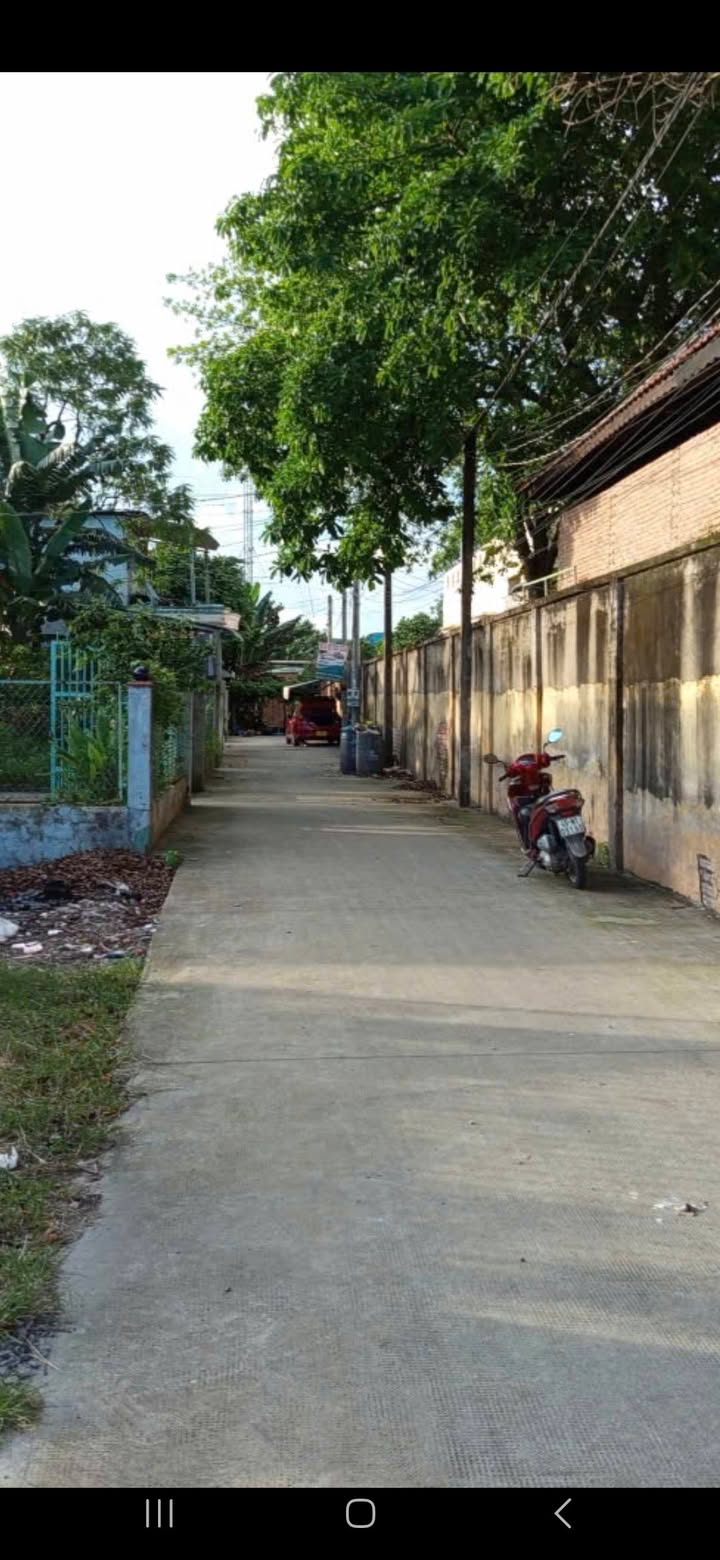 Đất nền Tân Định, Bến Cát 250m² giá 1.5 tỷ - Sổ đỏ chính chủ