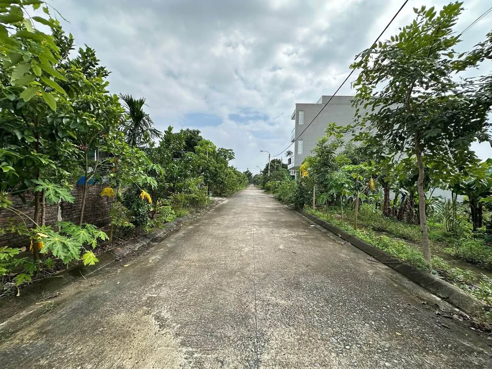 Đất nền Ninh Tiến 120m² giá 5 tỷ - Cơ hội đầu tư tuyệt vời!