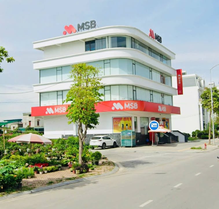 Đất nền KĐT Vịt Cỏ Hồ Sen, Tân Bình 85m² giá 5.133 tỷ - Vị trí đắc địa chờ bạn!