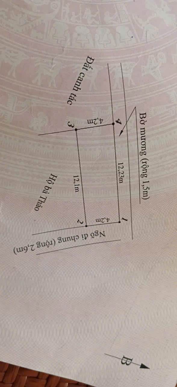 Đất nền tại Minh Đức, Đồ Sơn 51m² giá chỉ 7XX triệu - Vị trí thuận lợi cho đầu tư!