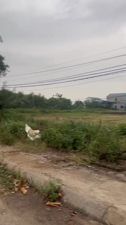 Đất nền Diễn Thành 379m² giá 5.7 tỷ - Cơ hội đầu tư lý tưởng!