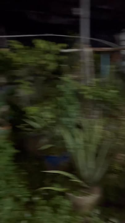 Đất nền Dĩ An 300m² giá 7.5 tỷ - Vị trí đắc địa, đầu tư sinh lời!