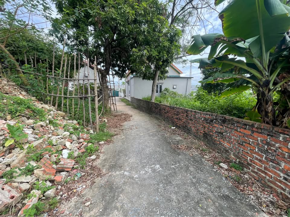 Đất nền Hạ Long 120m² giá 900 triệu - Gần khu công nghiệp Việt Hưng