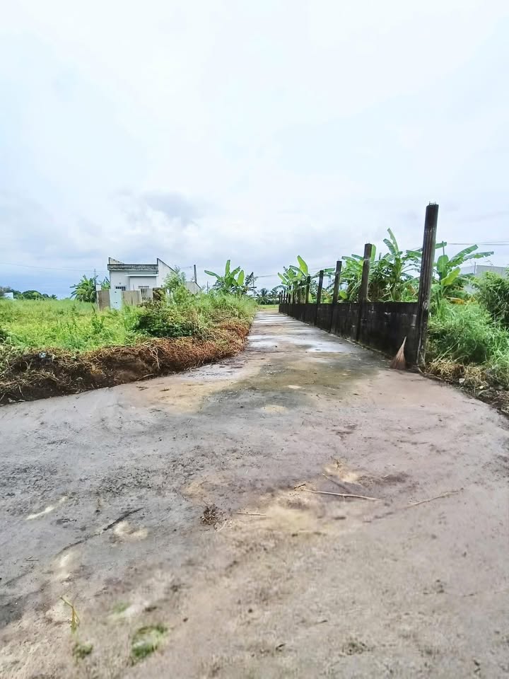 Đất thổ cư Nhơn Thạnh Trung, Tân An 130m² giá chỉ 450 triệu - Cơ hội đầu tư hấp dẫn!