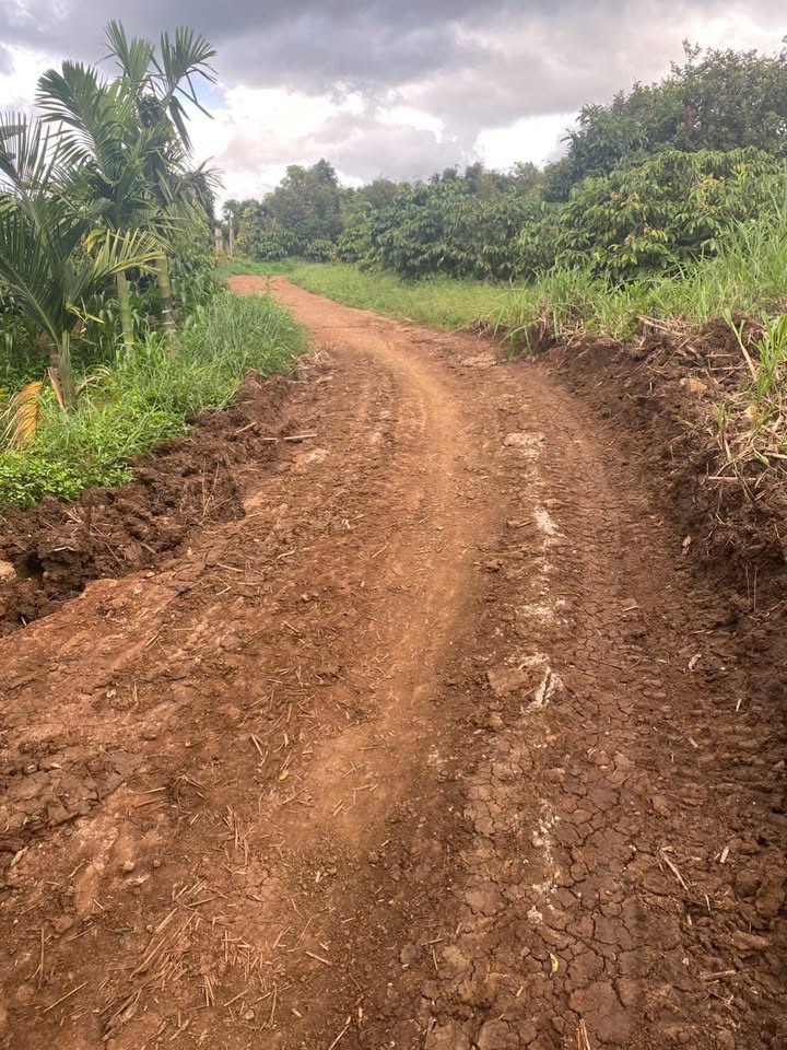 Đất nền Ea Ral 61.000m² giá 849 triệu - Đầu tư sinh lời lý tưởng!