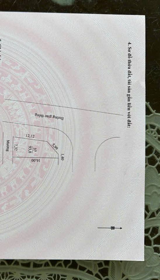 Đất nền dự án Tân Mỹ Avenue Bắc Giang 94m² - Lô góc đẹp nhất, giá thỏa thuận!