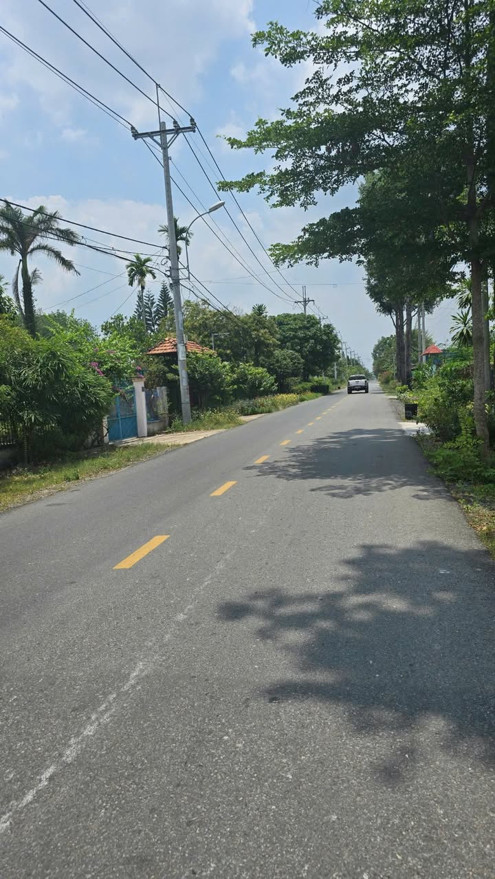 Đất nền Bùi Thị Điệt, Củ Chi 2668m² giá 12 tỷ - Đầu tư sinh lời ngay!