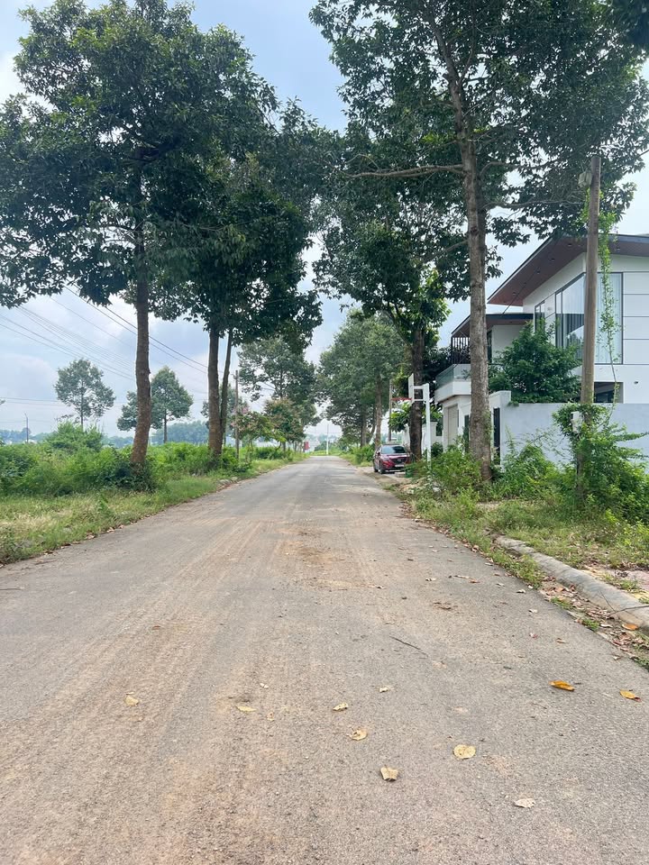 Đất biệt thự Hòa Long 299m² giá chỉ 3.7 tỷ - Cơ hội đầu tư hấp dẫn!