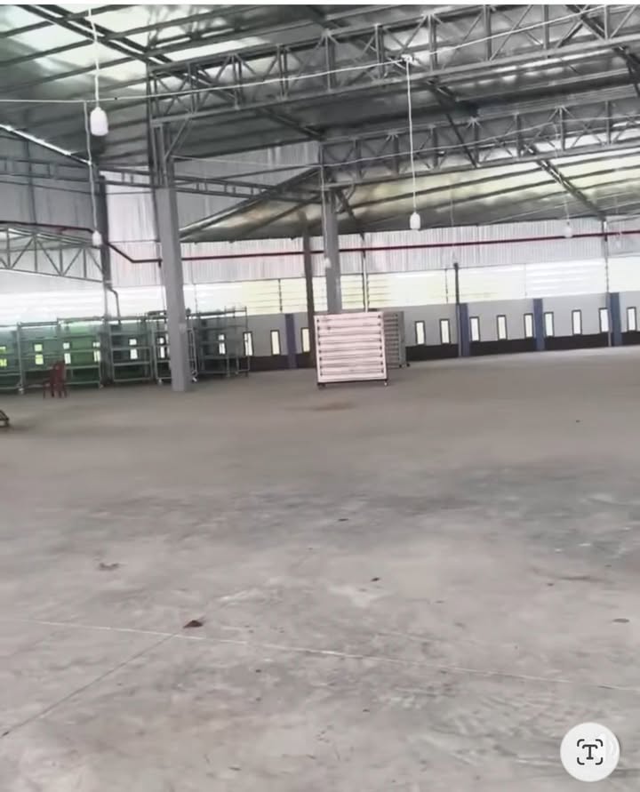 Kho 1600m² Hòa Khánh Cái Bè cho thuê 800 triệu/6 tháng - Địa điểm lý tưởng cho doanh nghiệp!