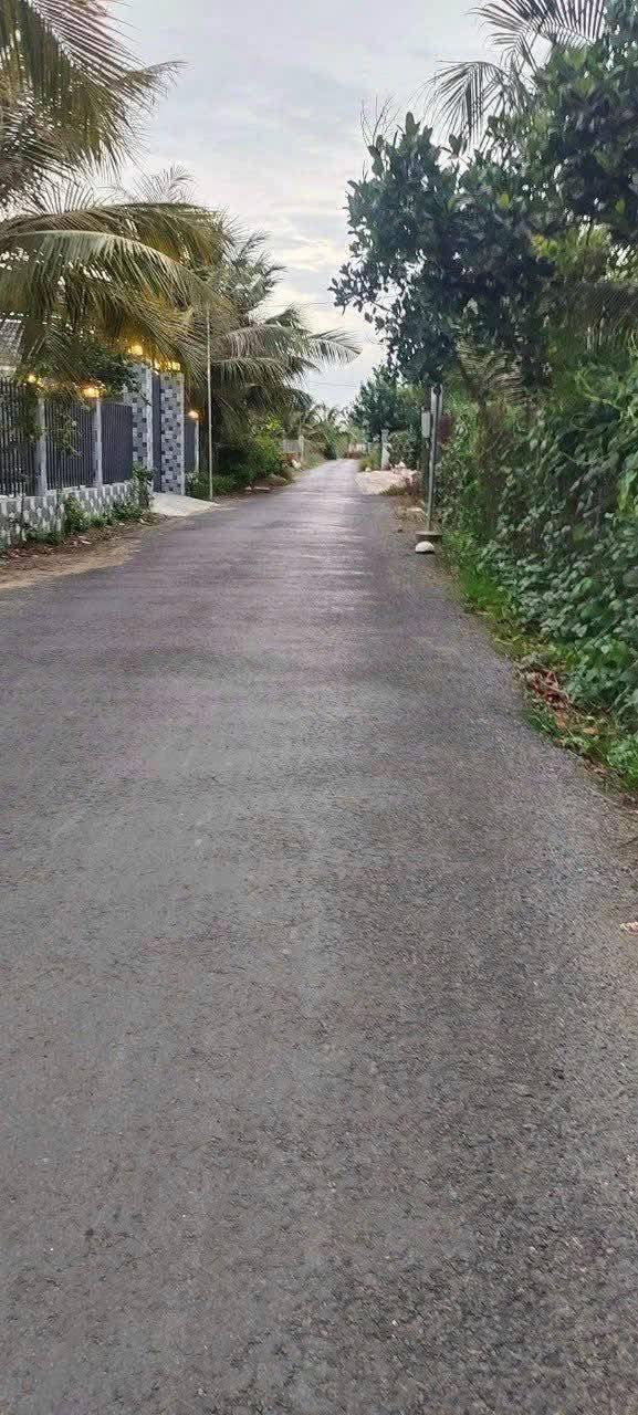 Đất nền 253m² xã Đông Hòa Hiệp, Cái Bè, giá 2.4 tỷ - Đường nhựa xe hơi vào tận nơi!