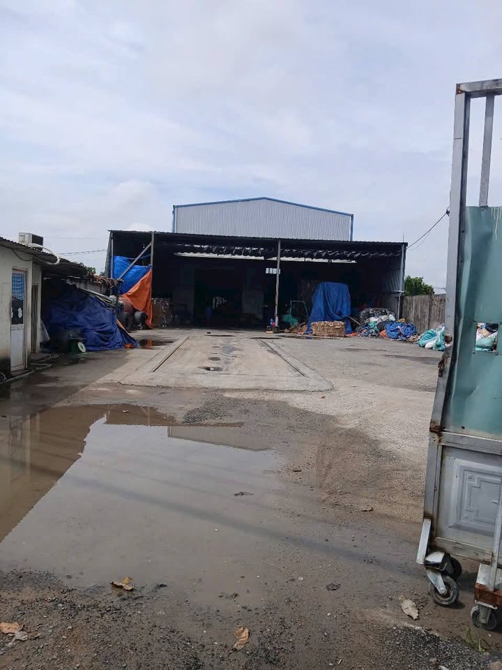 Xưởng 1400m² tại Phước Vĩnh An, Củ Chi giá 24 tỷ - Đầu tư sinh lời ngay!