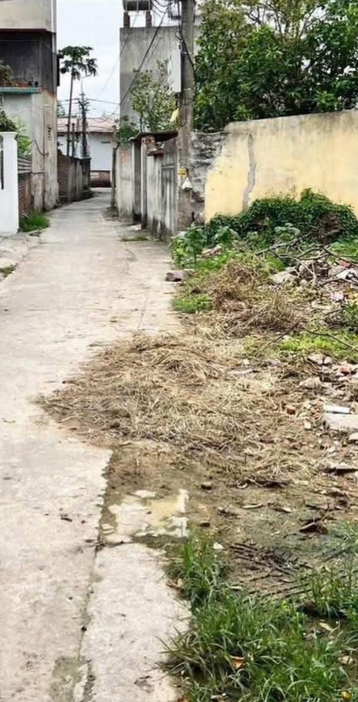 Đất thổ cư Bồng Lai Quế Võ 74m² giá chỉ 1.xx tỷ - Tiềm năng đầu tư hấp dẫn!