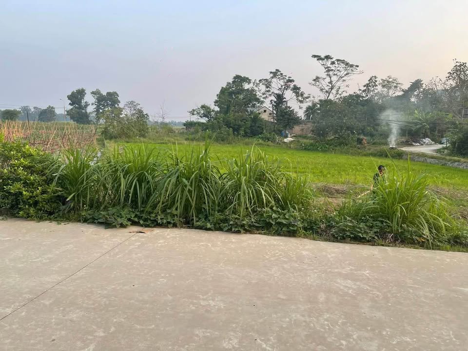 Đất nền City Home Phổ Yên 112m² giá chỉ 1 tỷ - Đầu tư sinh lời ngay!