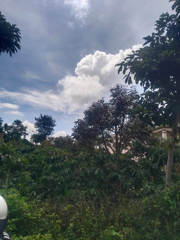 Đất thổ cư 80m² tại Phú Xuân, Krông Năng - Giá chỉ 550 triệu!