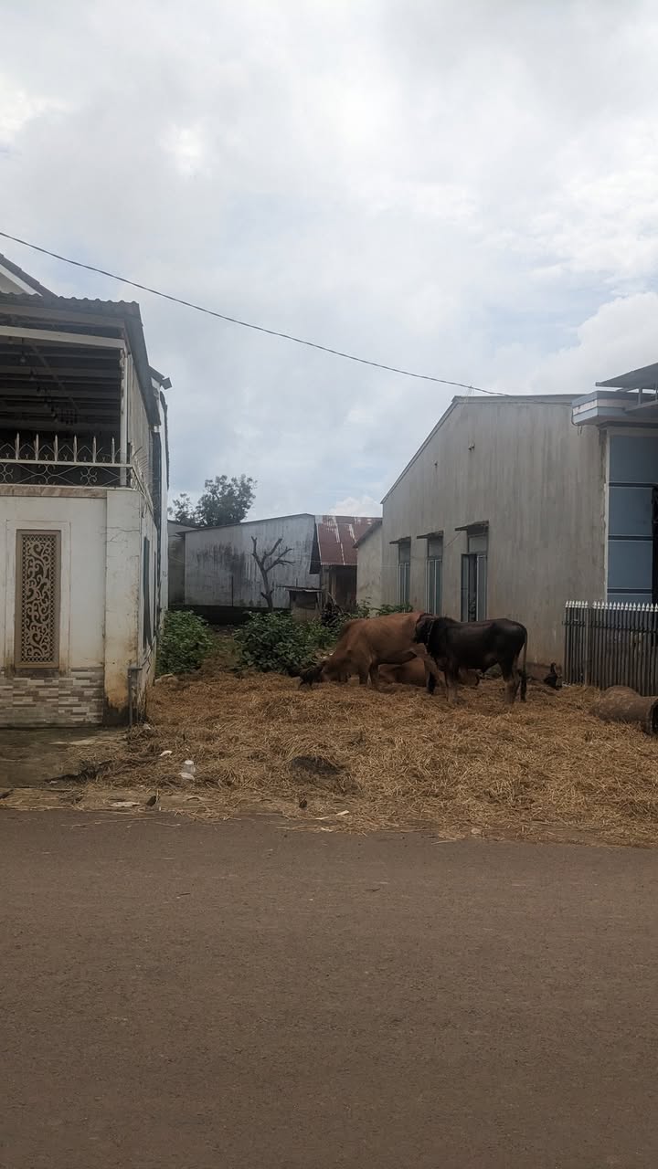 Đất thổ cư phường Ea Kao 192m² giá 2.45 tỷ - Gần chợ Buôn Kao chỉ 100m!