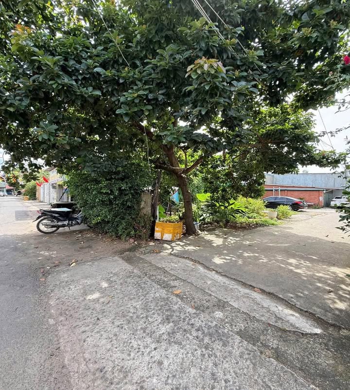 Bán FrontHouse mặt tiền Phùng Chí Kiên, Buôn Ma Thuột - 50m² giá 3,85 tỷ - Đầu tư sinh lời ngay!