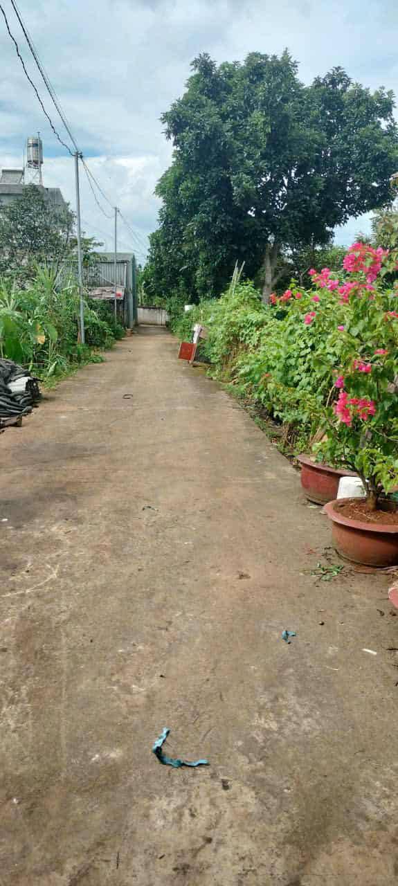 Đất nền Hẻm 51 Võ Thị Sáu, Tân Lập 90m² giá 320 triệu - Cơ hội đầu tư tuyệt vời!