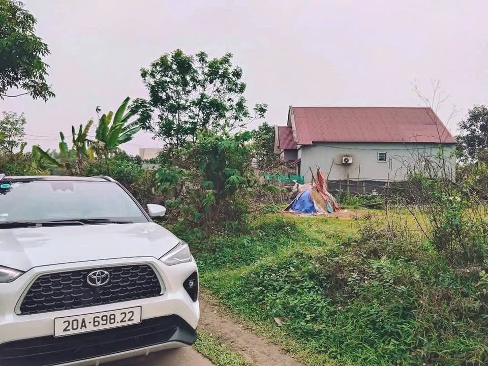 Đất nền Phú Xá 100m² giá chỉ 1,2 tỷ - Hướng Tây Bắc, không lo lũ!