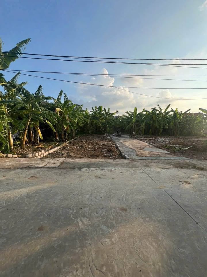 Đất thổ cư mặt đường thôn 7, xã Kỳ Sơn, Hải Phòng 62m² - Cơ hội đầu tư sinh lời!
