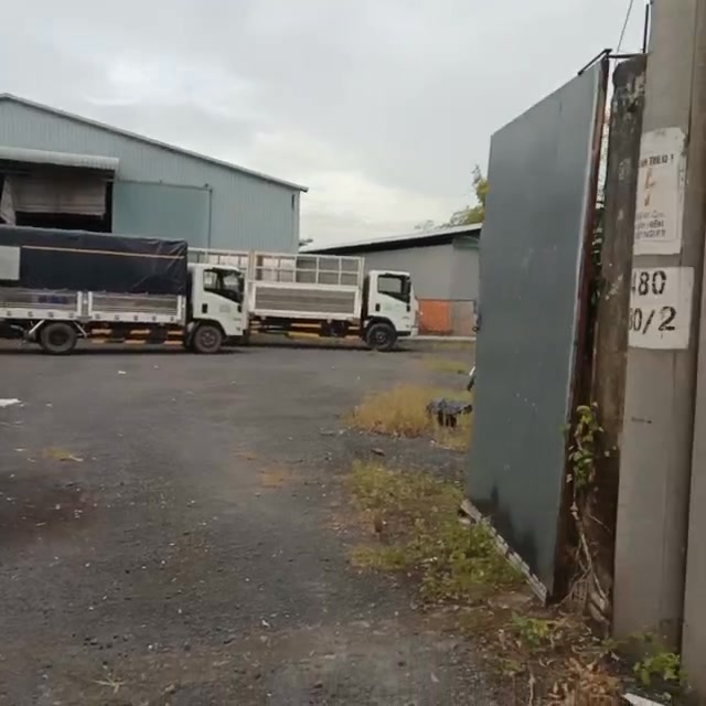 Cho thuê nhà kho 2.433m² tại ấp An Thái, Lấp Vò - Giá chỉ 15 triệu/tháng!