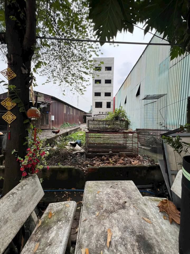 Lô đất Vườn Lài An Phú Đông, Quận 12, 160m² giá 7.9 tỷ - Đầu tư sinh lời ngay!