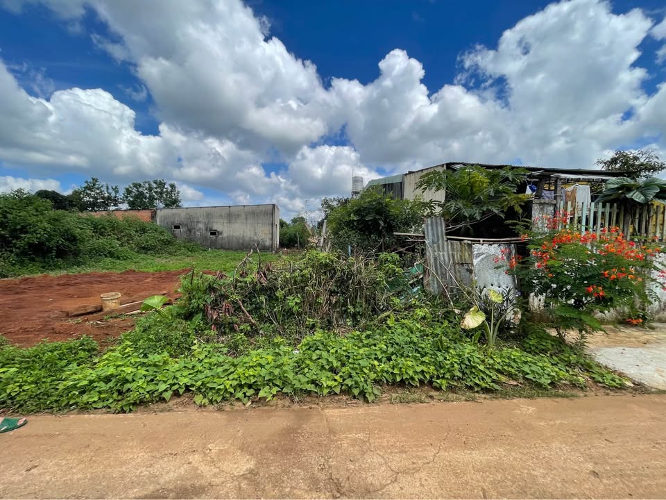 Đất hẻm Trường Chinh, Hội Phú 114m² giá 600 triệu - Sổ hồng chính chủ!