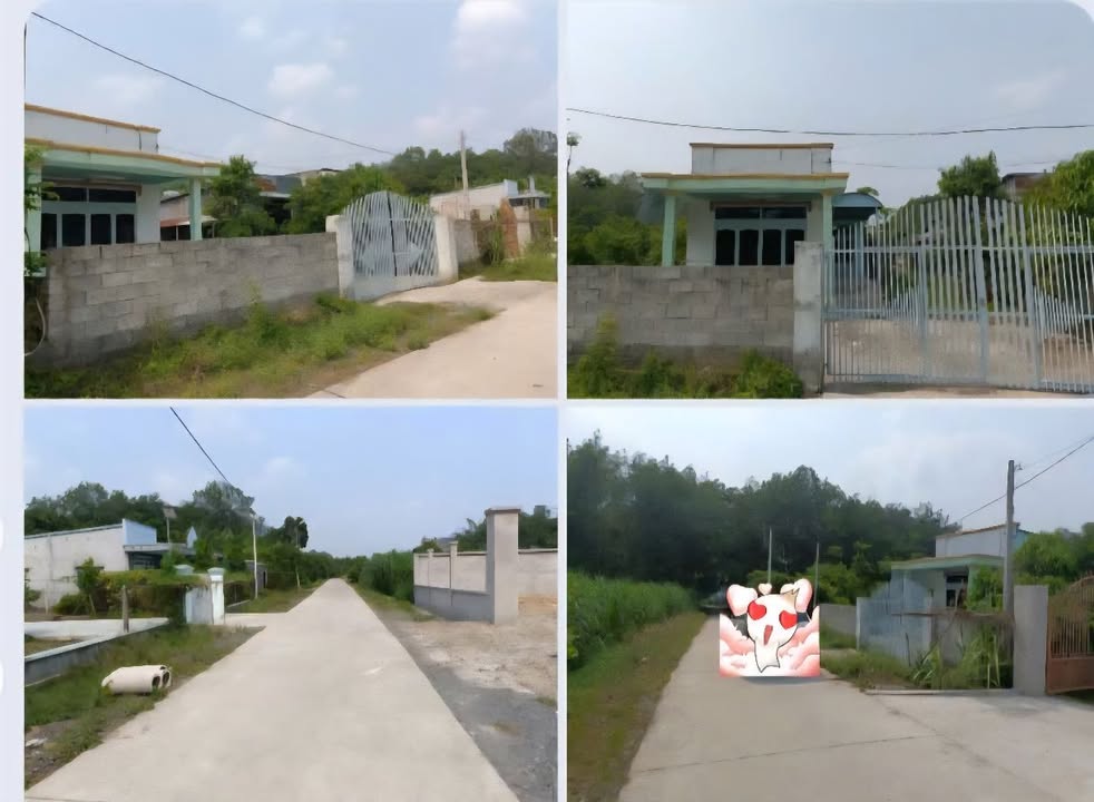 Đất nhà vườn Củ Chi 557m² giá 5 tỷ - Sẵn nhà cấp 4 vào ở ngay!