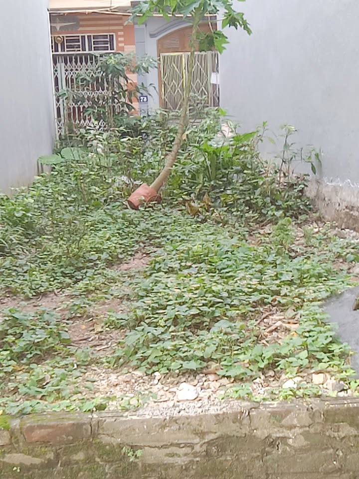 Nhà riêng Vĩnh Quỳnh Thanh Trì 44m² giá 6.3 tỷ - Ngõ thông ô tô tiện lợi!