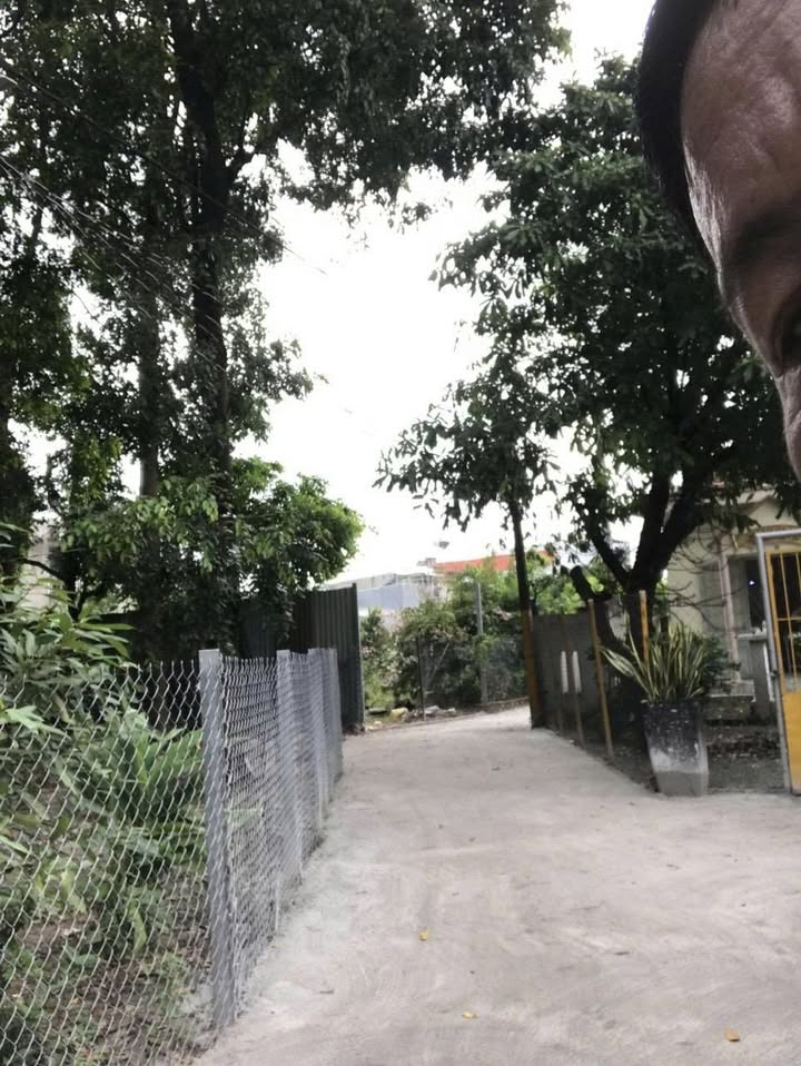 Đất Phú Hòa Thủ Dầu Một 119m² giá 2.3 tỷ - Sổ đỏ chính chủ, đường xe hơi