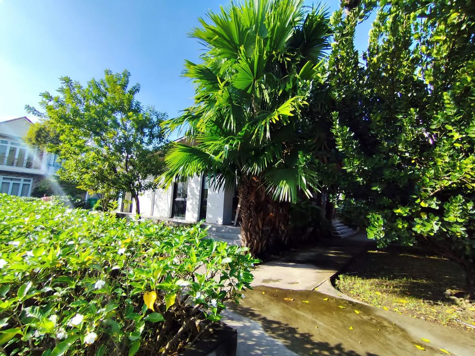 Cho thuê mặt bằng góc 2 mặt tiền KDC Hưng Phú, Cần Thơ - Diện tích 1.000m², giá 70 triệu/tháng!