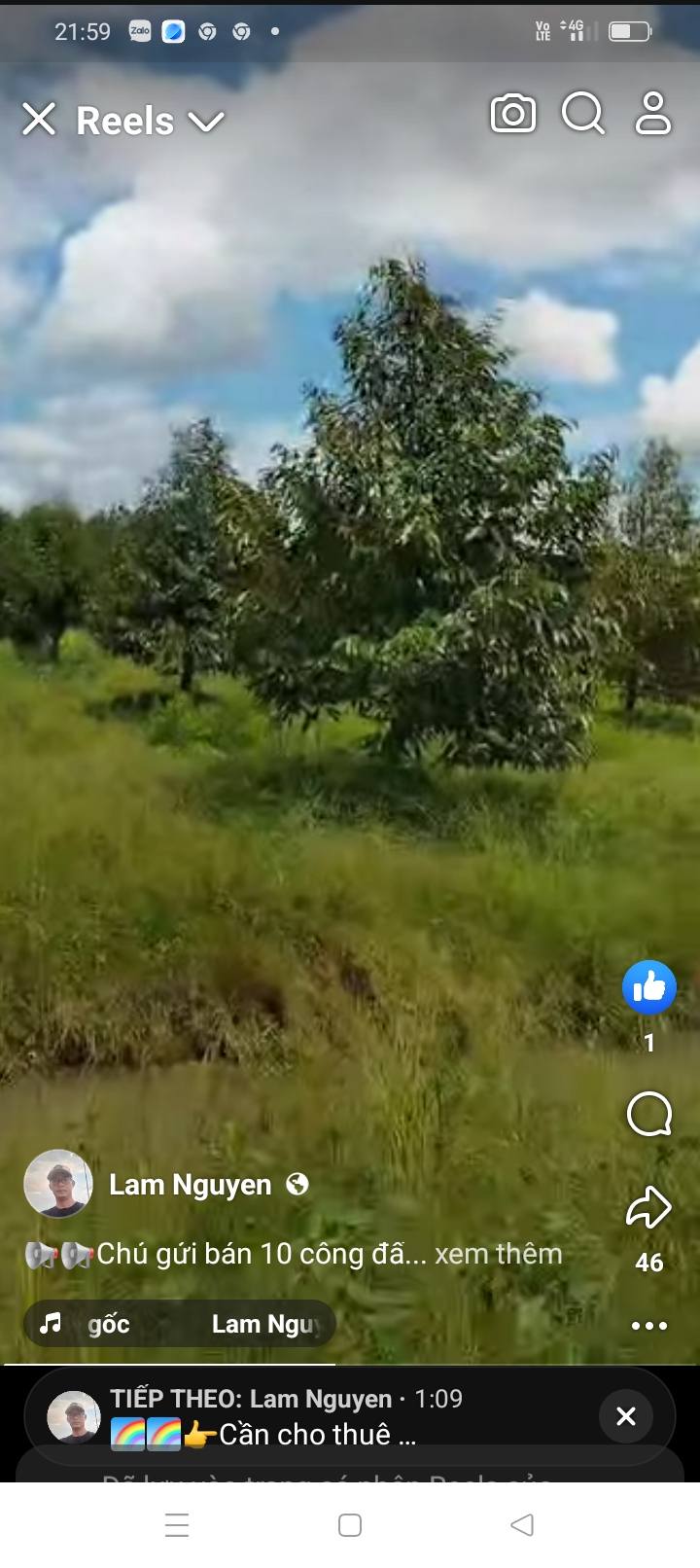 Đất vườn Phú Điền, Tháp Mười 10.000m² giá 2.6 tỷ - Tiềm năng đầu tư lớn!