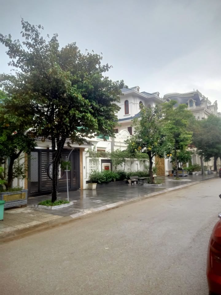 Đất nền liền kề Đông Vệ, Thanh Hóa 90m² giá chỉ 3.8 tỷ - Cơ hội đầu tư hấp dẫn!