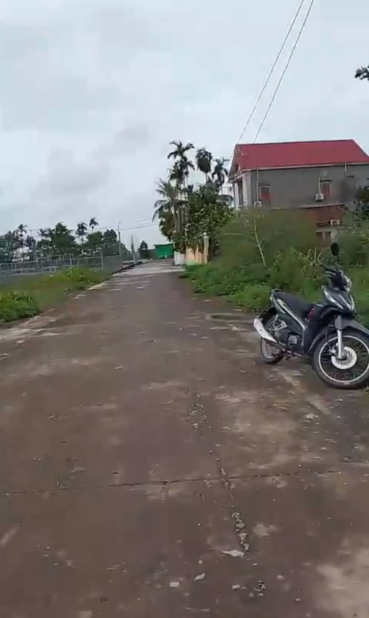 Đất nền Tam Đa Vĩnh Bảo 140m² giá thỏa thuận - Đường rộng thoáng đãng