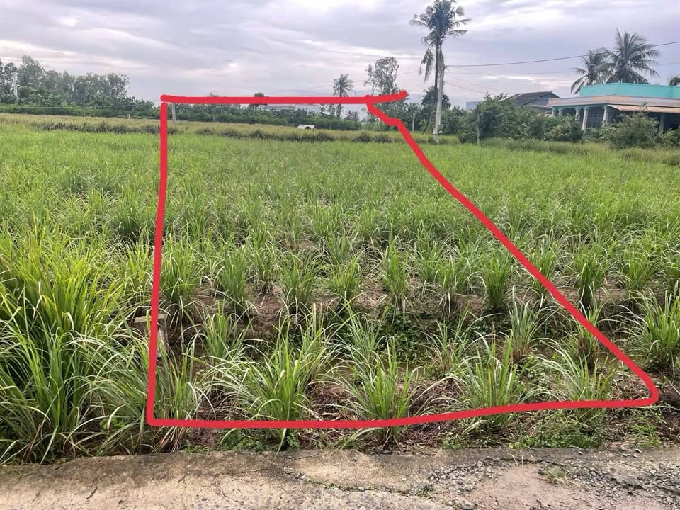 Đất thổ cư 100m² tại ấp Long Hải, Gò Công Tây chỉ 230 triệu - Cơ hội vàng đầu tư!