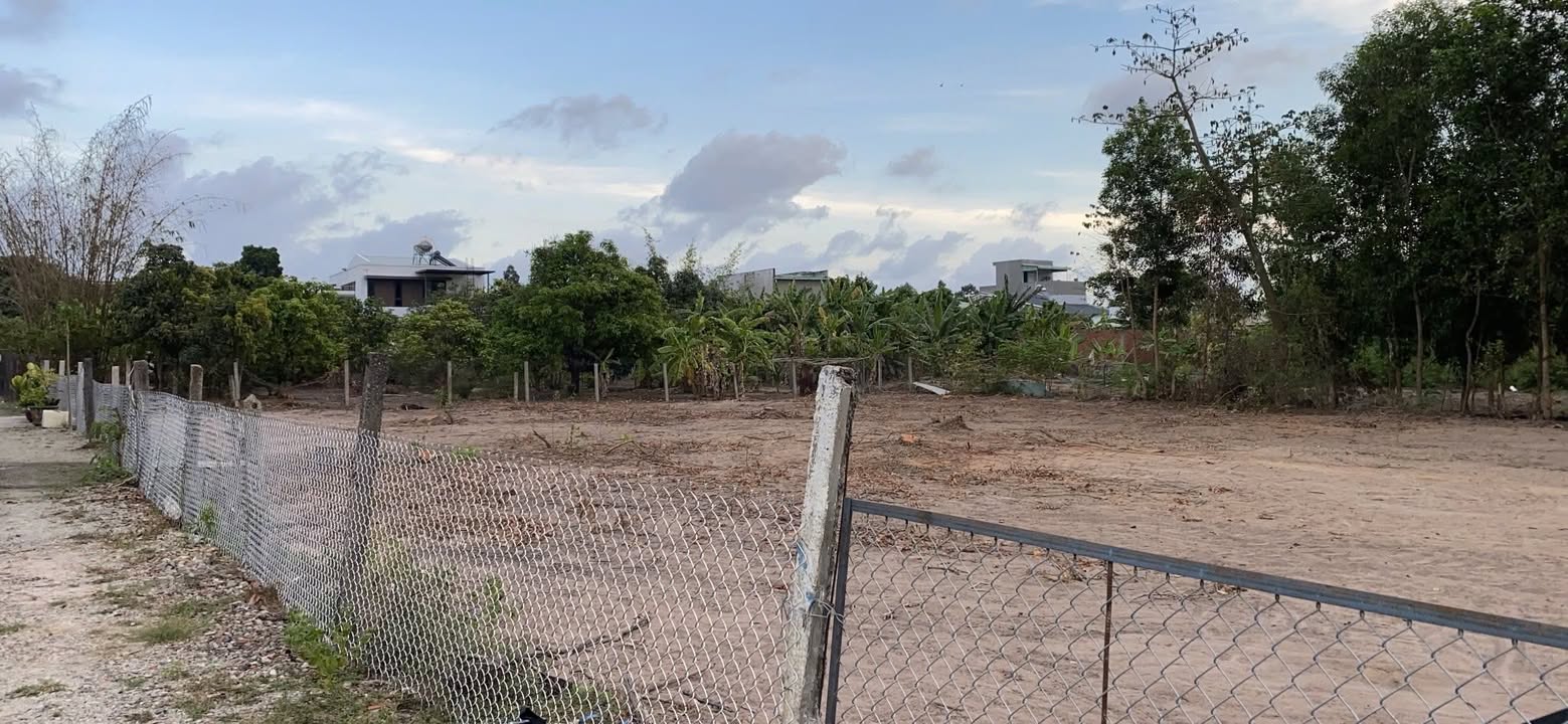 Đất nông nghiệp Phước Hưng Bà Rịa 2343m² giá 13.54 tỷ - Cơ hội đầu tư hấp dẫn!