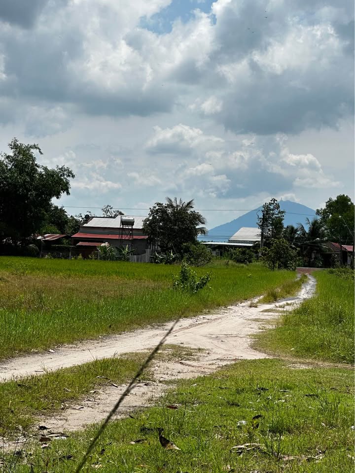 Đất thổ cư Thạnh Bình 200m² giá 185 triệu - Sổ đỏ chính chủ ngay mặt tiền!