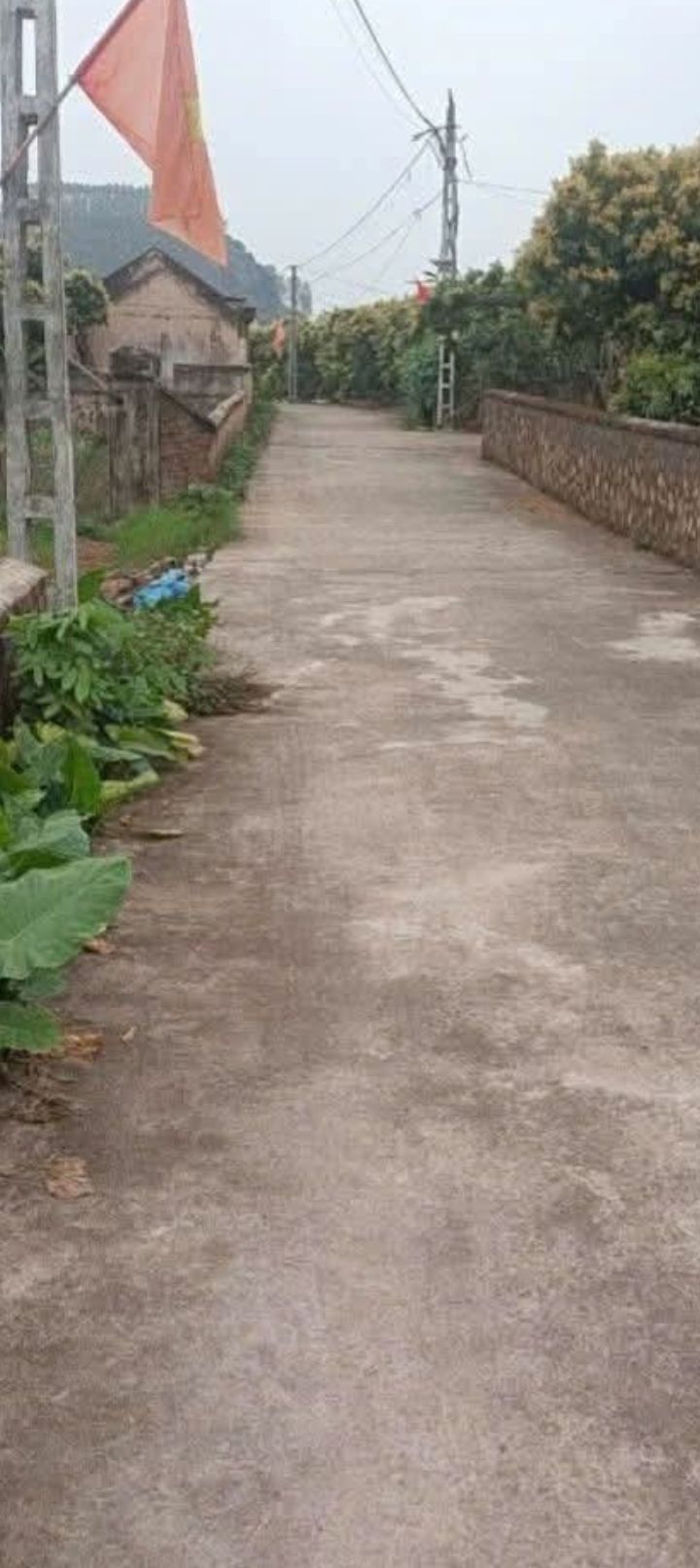 Đất thổ cư Trường Sơn Lục Nam 400m² giá 300 triệu - Vị trí thuận lợi cho đầu tư!