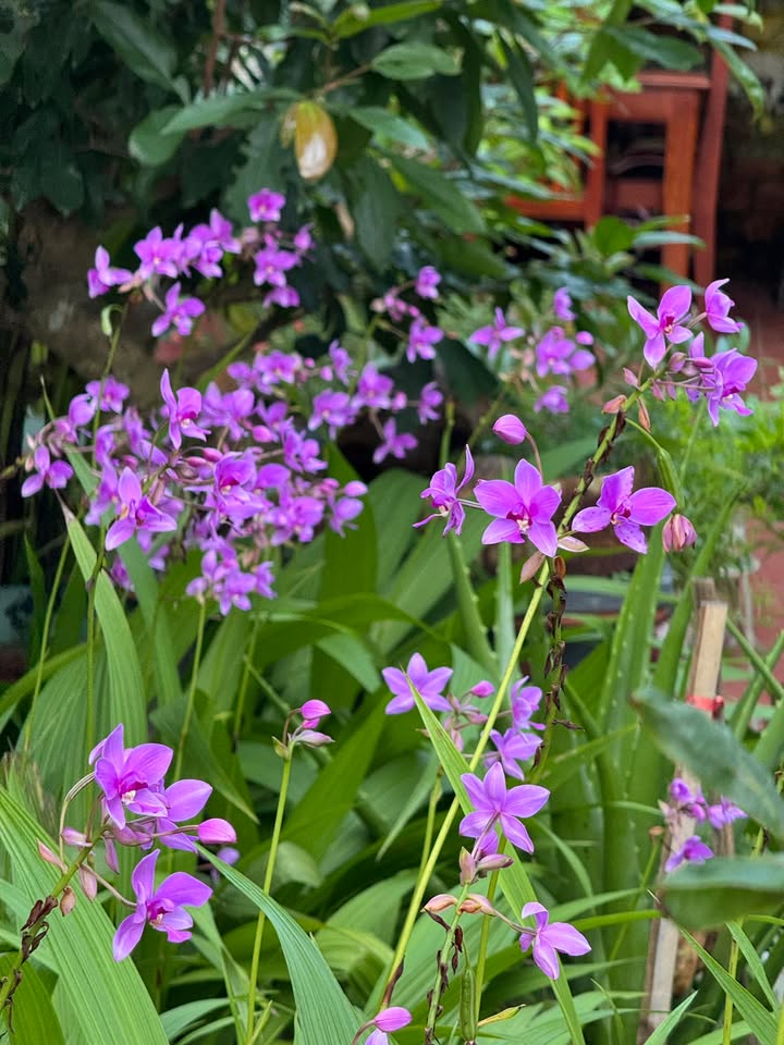 Đất ven Đà Nẵng 335m² giá 5.4 tỷ - Đầu tư sinh lời tiềm năng!