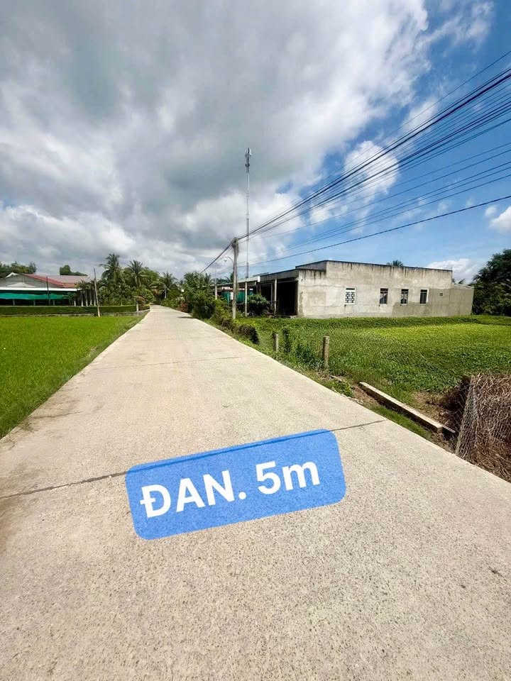 Đất lúa 1000m² tại ấp Bình An B, Tân An - Giá chỉ 1.6 tỷ thương lượng!