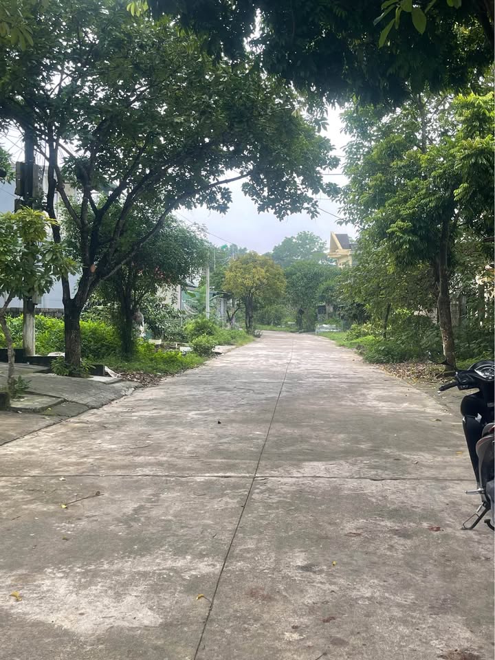 Đất nền khu phố 15, Bắc Sơn, Tam Điệp 90m² giá 1.6 tỷ - Đầu tư sinh lời đảm bảo!