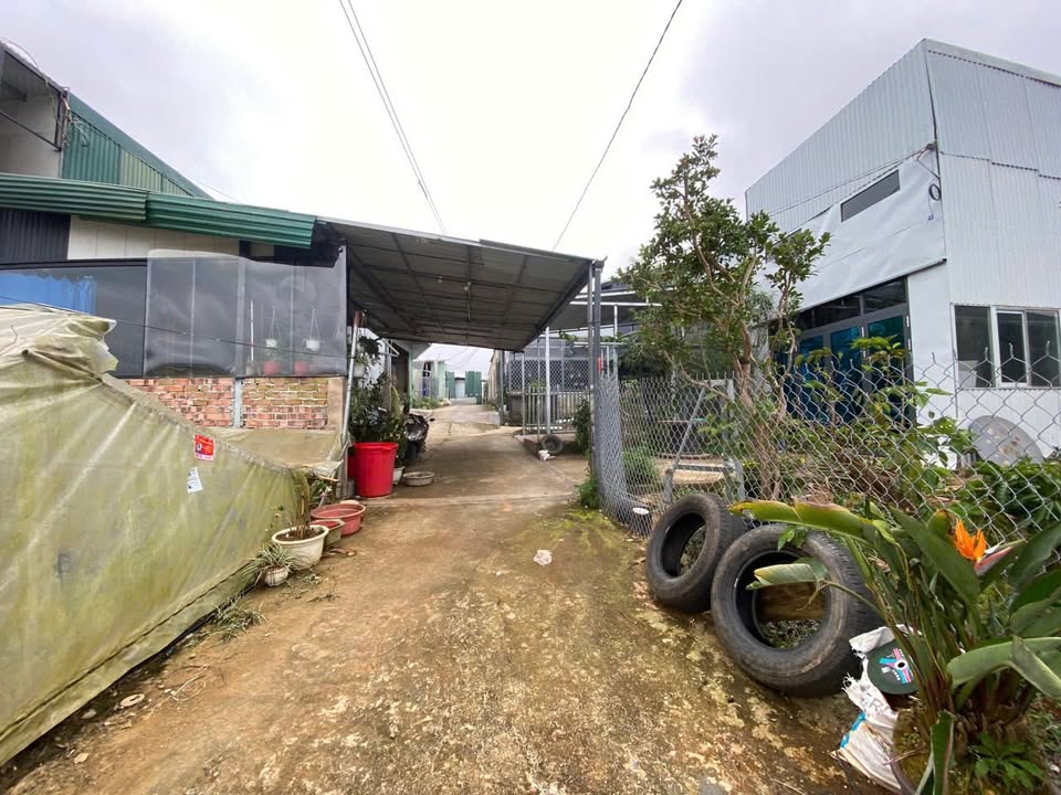 Nhà sân vườn Đà Lạt 95m² giá 2.1 tỷ - Khu dân cư đông đúc, view thoáng đẹp!