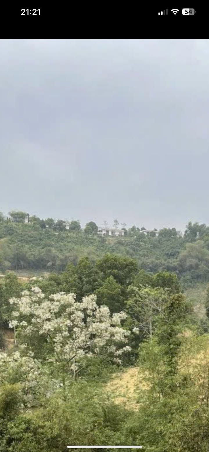 Đất nền Tân Vinh Lương Sơn 2021m² giá 7.07 tỷ - Đầu tư sinh lời hấp dẫn!